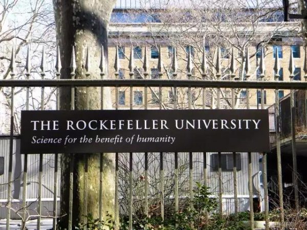 洛克菲勒大学：全球学术影响力第一的大学