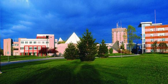 加拿大前十名最有价值的公立大学之一——布鲁克大学